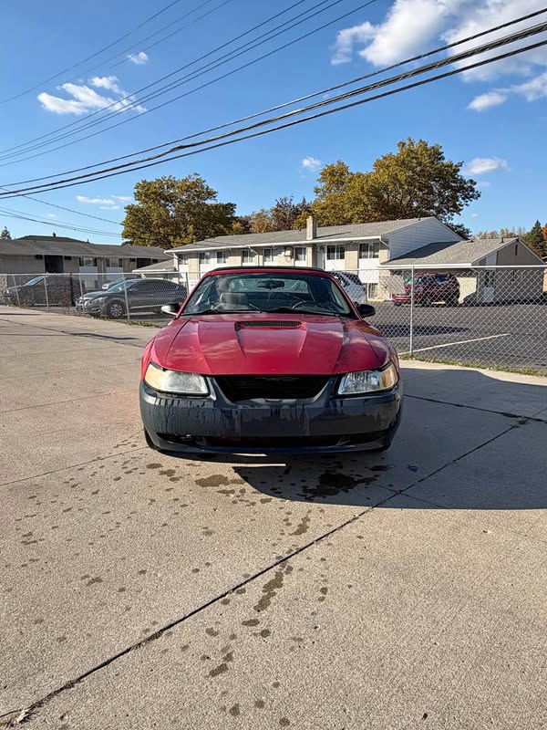 2000 Ford Mustang - 3.6