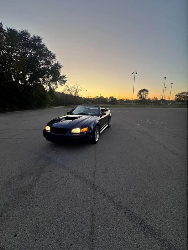 2003 Ford Mustang - Gt