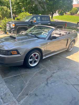 2002 Ford Mustang - Convertible 2D