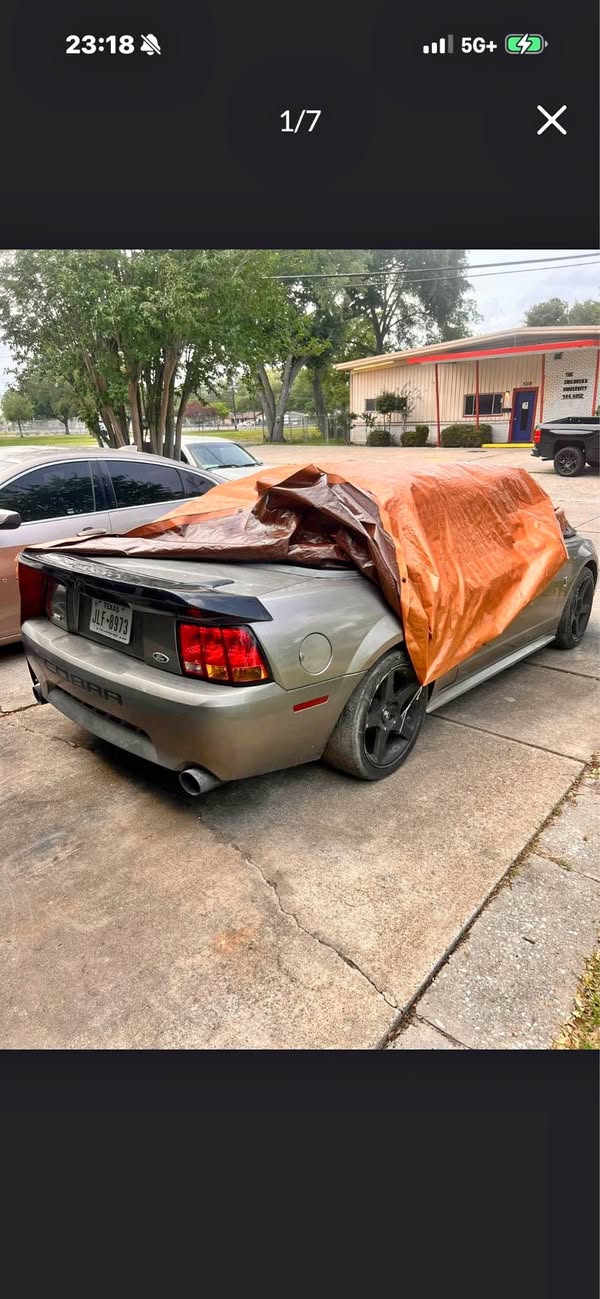 2001 Ford Mustang - Cobra Convertible 2D