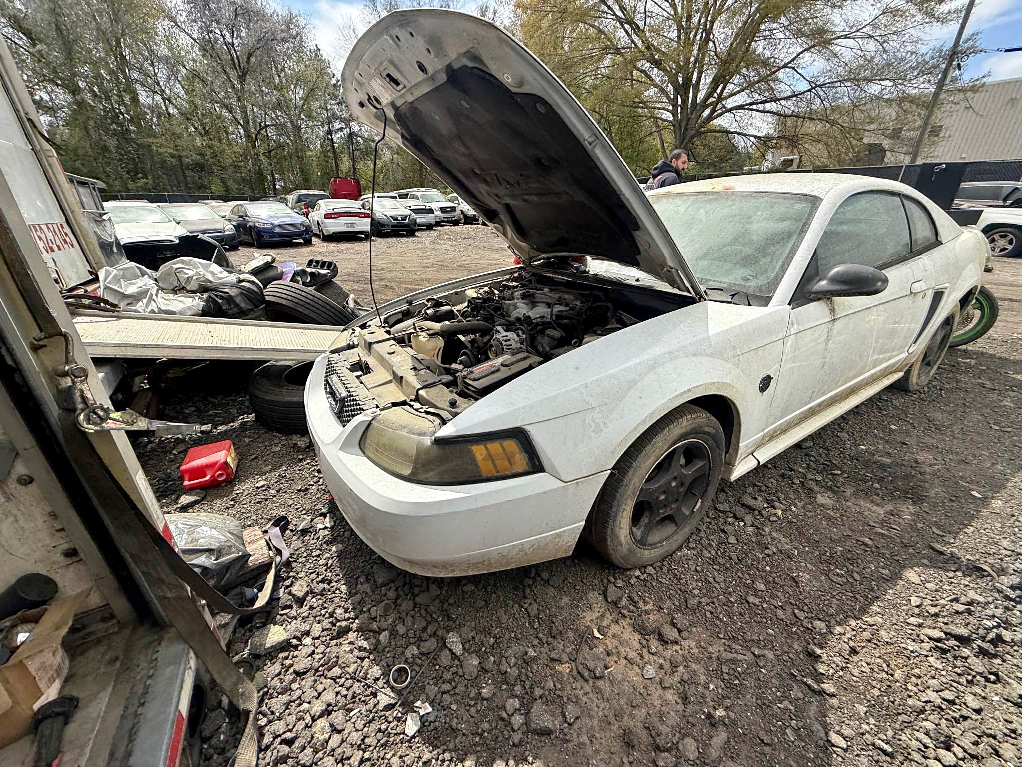 2003 Ford Mustang - V6 Coupe 2D