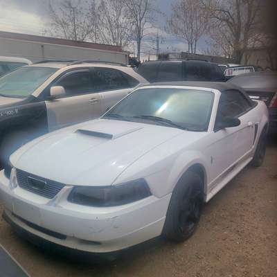 2004 Ford Mustang - Deluxe Convertible 2D