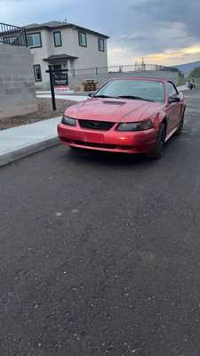 2000 Ford Mustang - BULLITT Coupe 2D