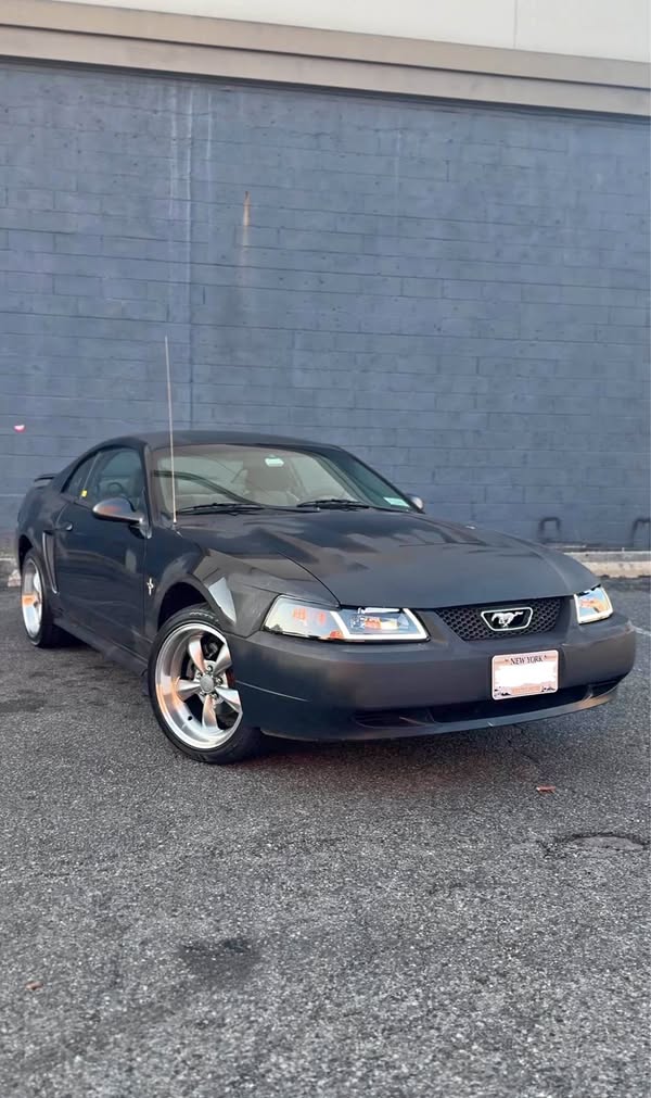 2003 Ford Mustang - V6 Coupe 2D