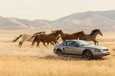 2002 Ford Mustang - V6 Coupe 2D