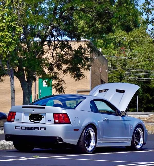 2003 Ford Mustang - Cobra SVT Coupe 2D