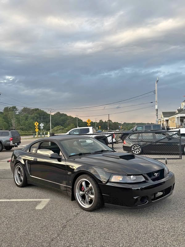 2001 Ford Mustang - BULLITT Coupe 2D