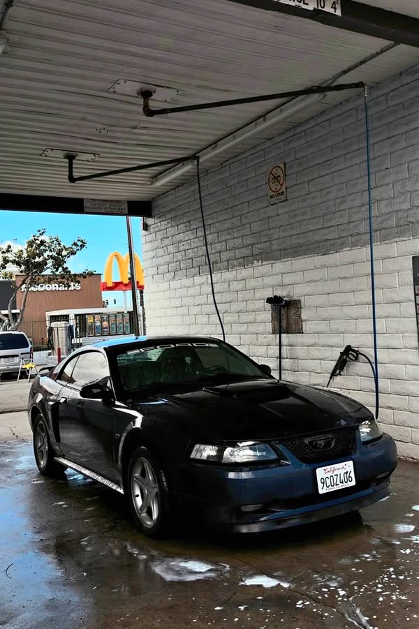 2001 Ford Mustang - GT Deluxe Coupe 2D