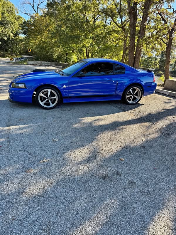 2004 Ford Mustang  - Mach 1