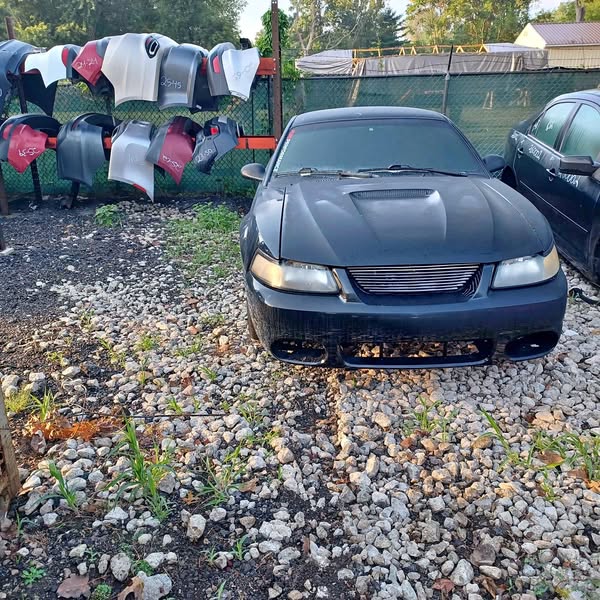 2003 Ford Mustang - L
