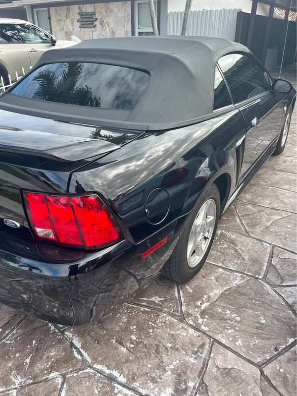 2004 Ford Mustang - Convertible 2D