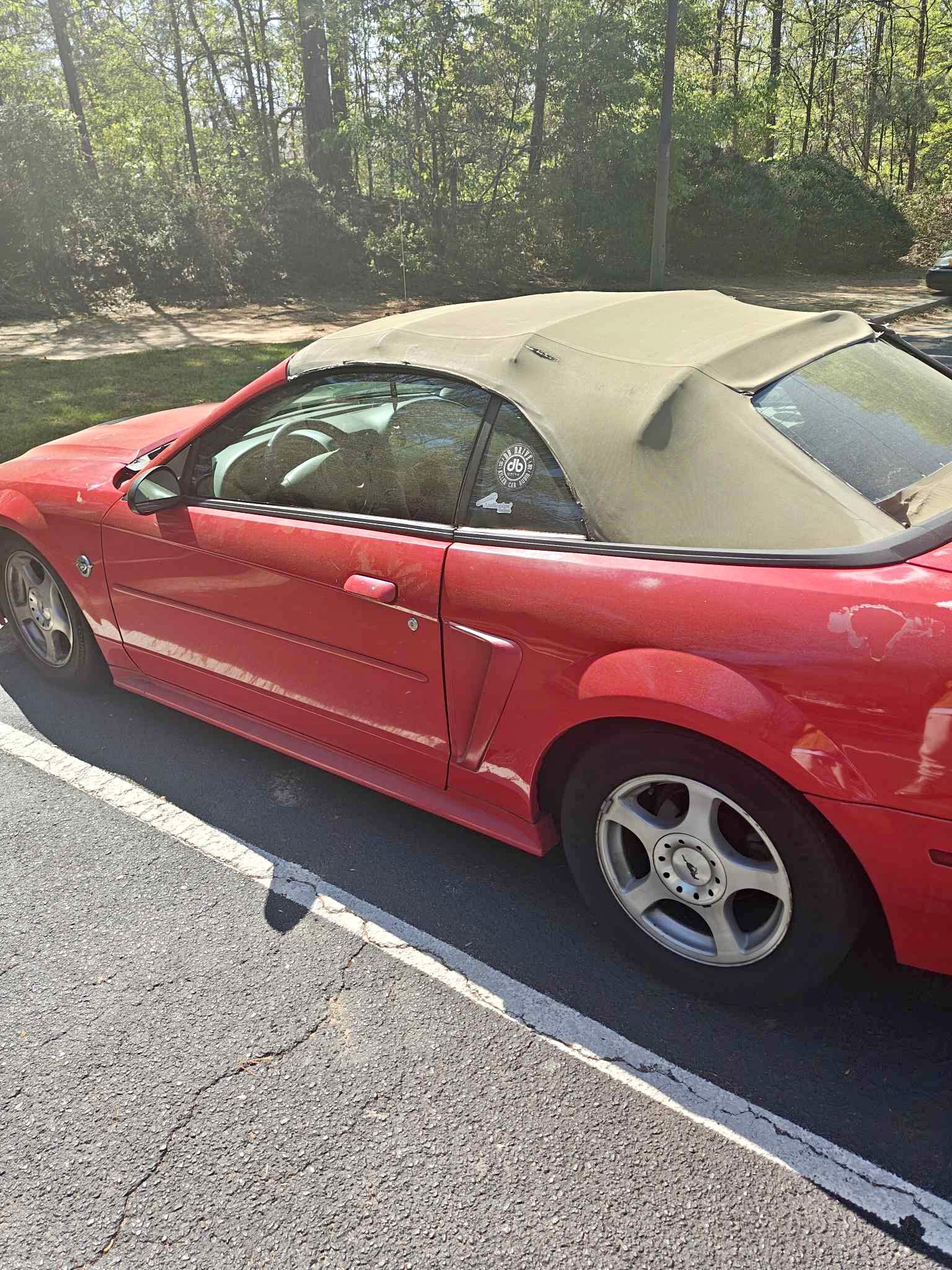 2004 Ford Mustang - V6 Premium Convertible 2D