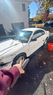 2001 Ford Mustang - Coupe 2D