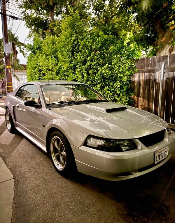 2002 Ford Mustang - Premium