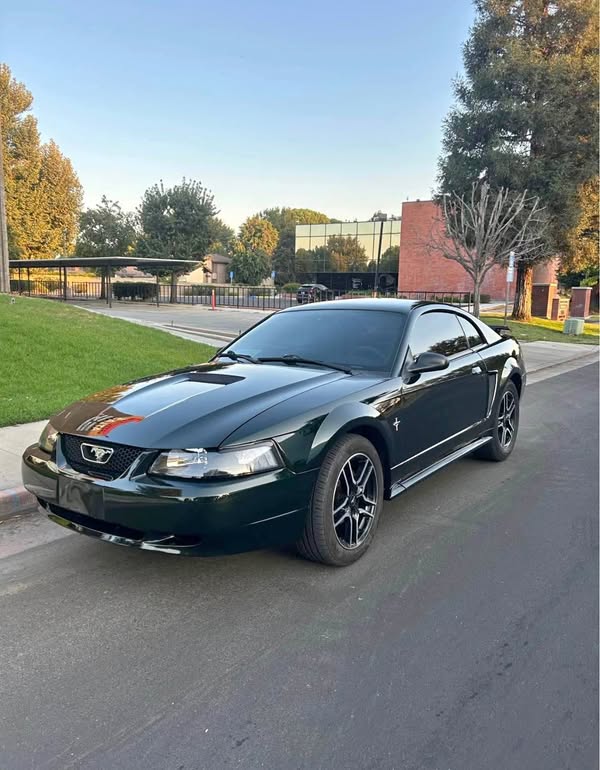 2001 Ford Mustang - Coupe 2D