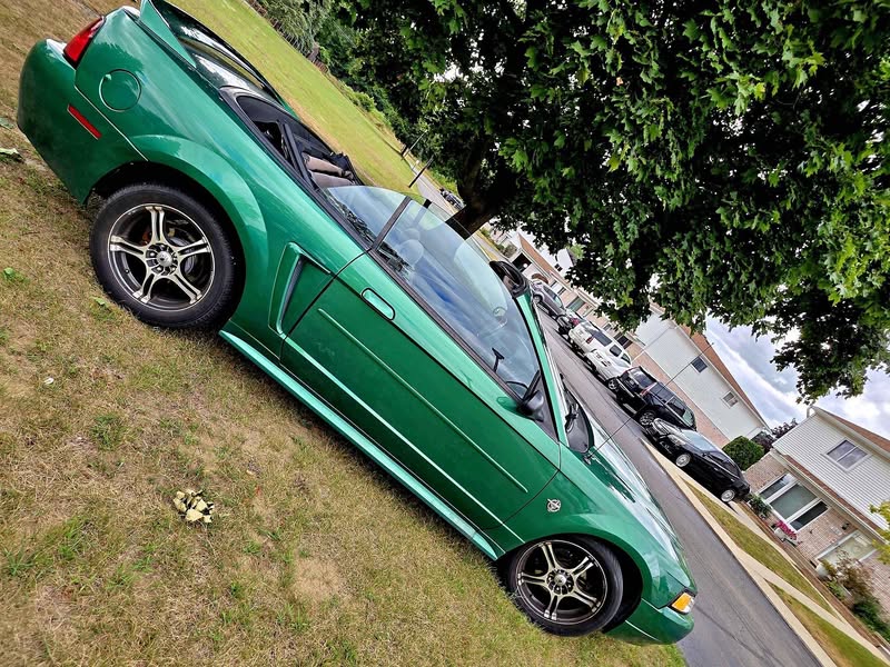 1999 Ford Mustang - Convertible