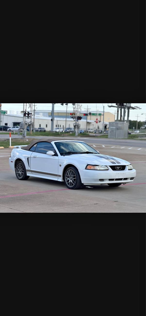 2004 Ford Mustang MACH-E
