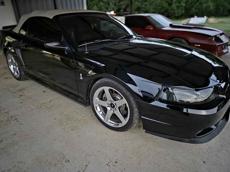 2001 Ford Mustang - Cobra SVT Convertible 2D