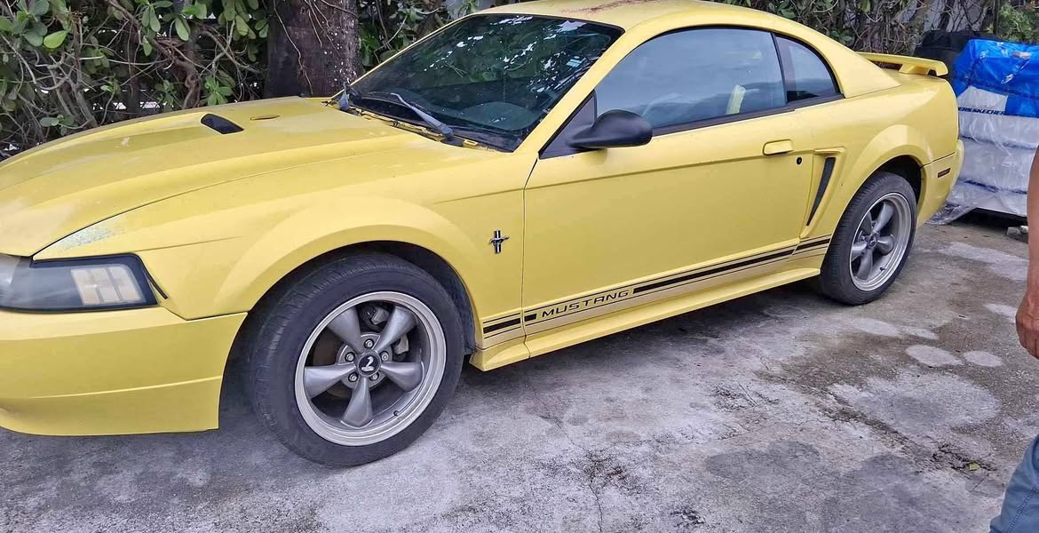 2003 Mustang ford