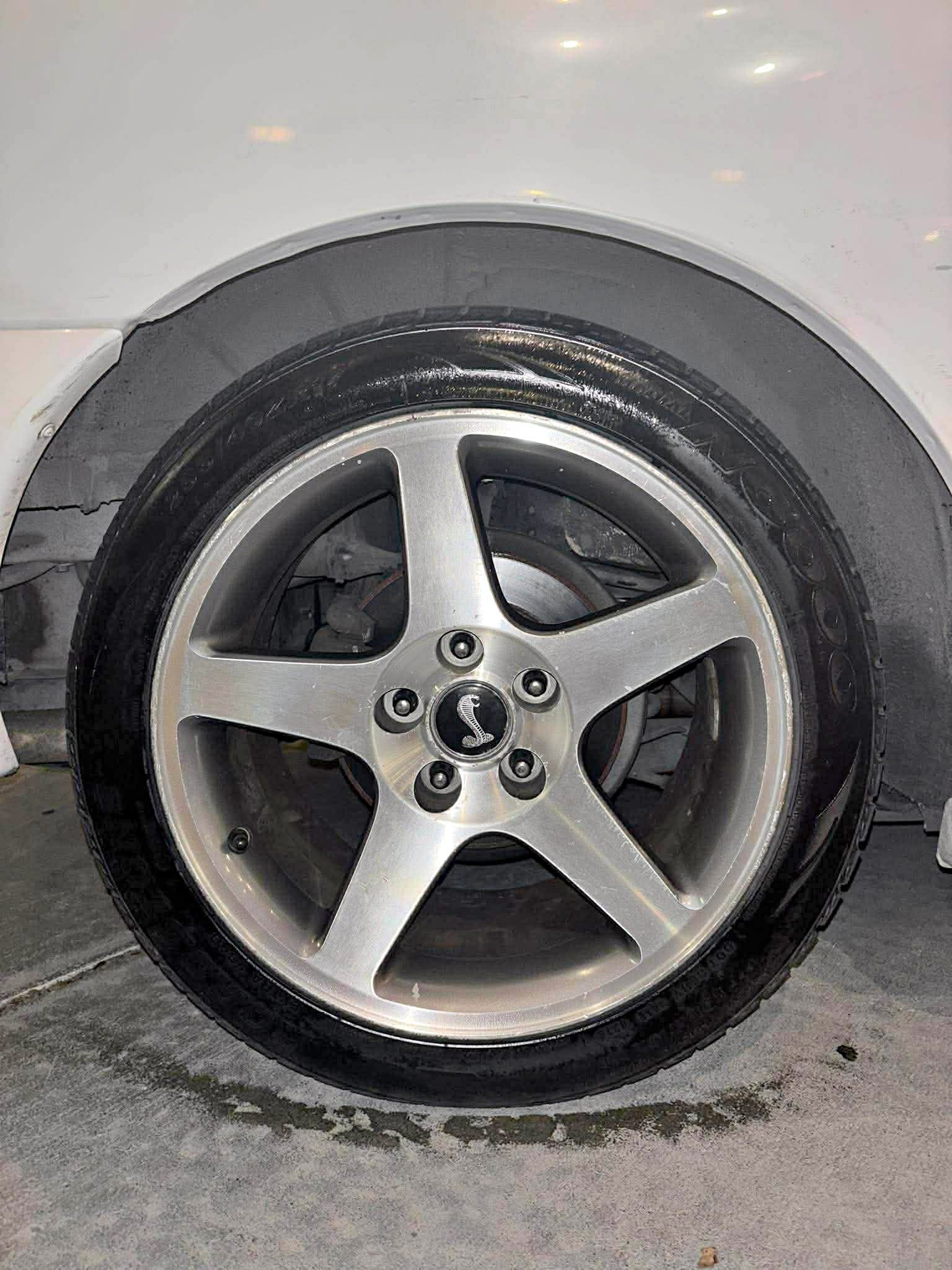 2004 Ford Mustang - Cobra SVT Coupe 2D