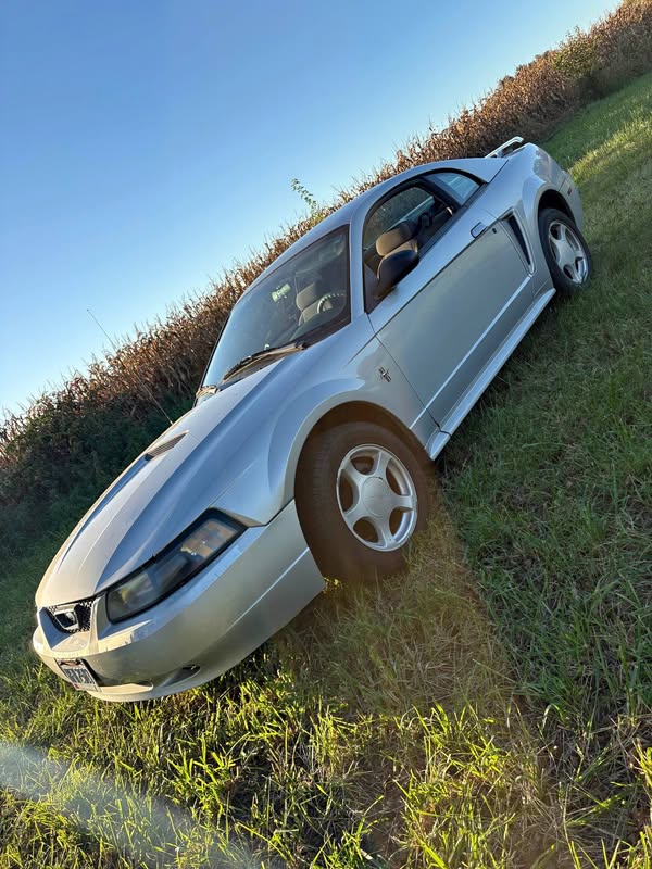 2002 Ford Mustang - Coupe 2D