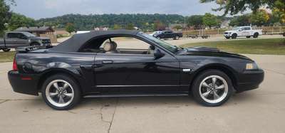 2003 Ford Mustang