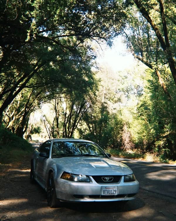2002 Ford Mustang - V6 Coupe 2D