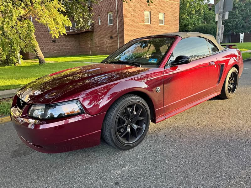 2004 Ford Mustang - V6 Convertible 2D