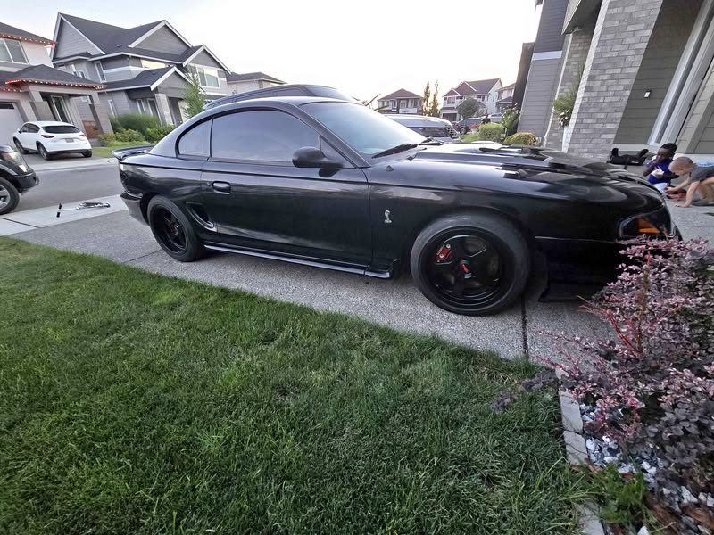 1997 Ford Mustang - Cobra SVT Coupe 2D