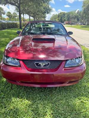 2004 Ford Mustang - Convertible 2D