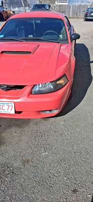 2001 Ford Mustang - Deluxe Coupe 2D