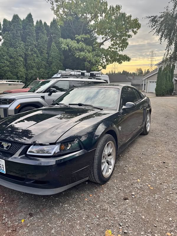1999 Ford Mustang - Coupe 2D