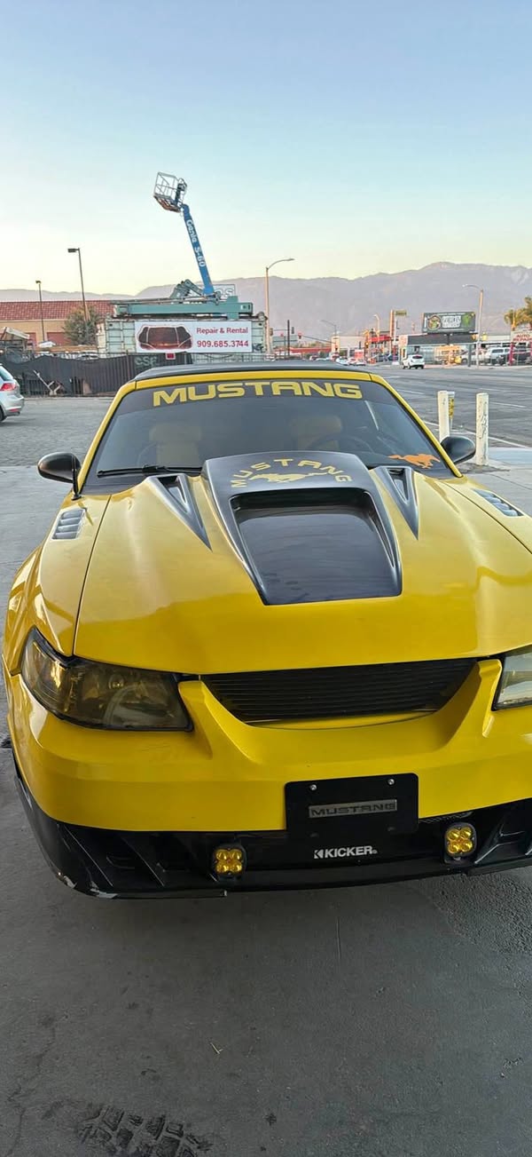 2002 Ford Mustang - Deluxe Convertible 2D