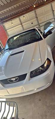 2000 Ford Mustang - Convertible 2D