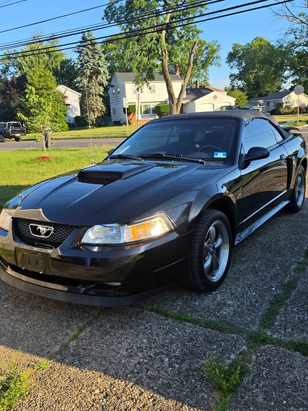 2003 Ford Mustang - GT Premium Convertible 2D