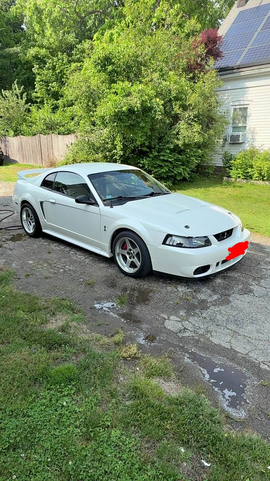 1999 Ford Mustang - Cobra svt