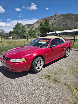 1999 Ford Mustang - GT Convertible 2D