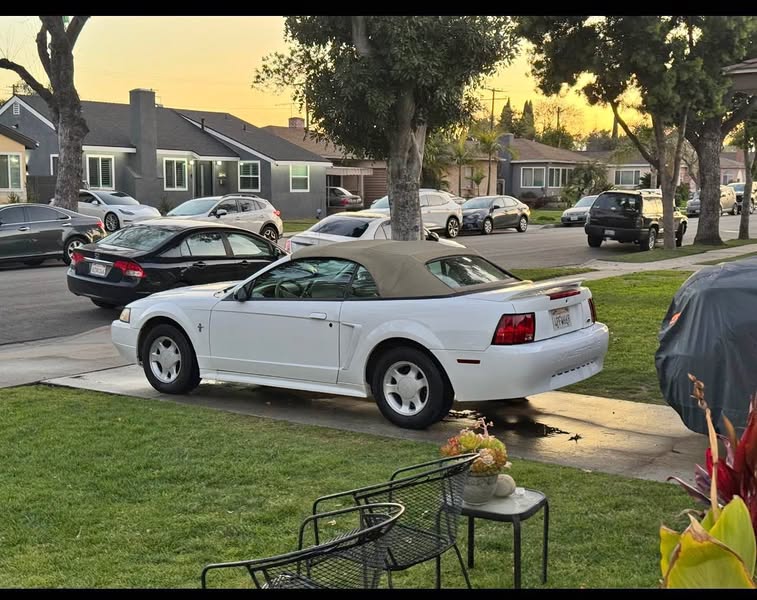 2000 Ford Mustang - V6 Convertible 2D