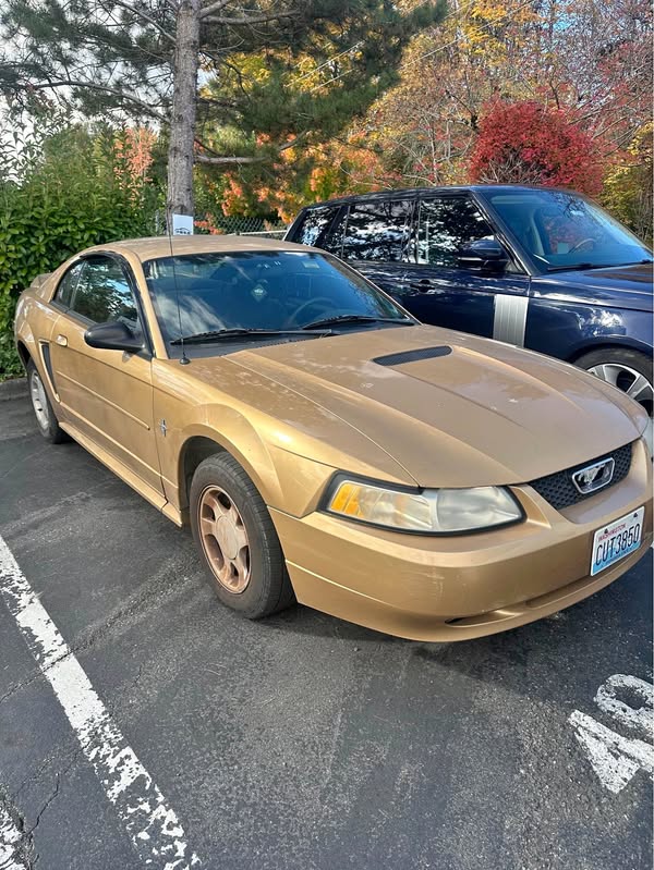 2000 Ford Mustang - Coupe 2D