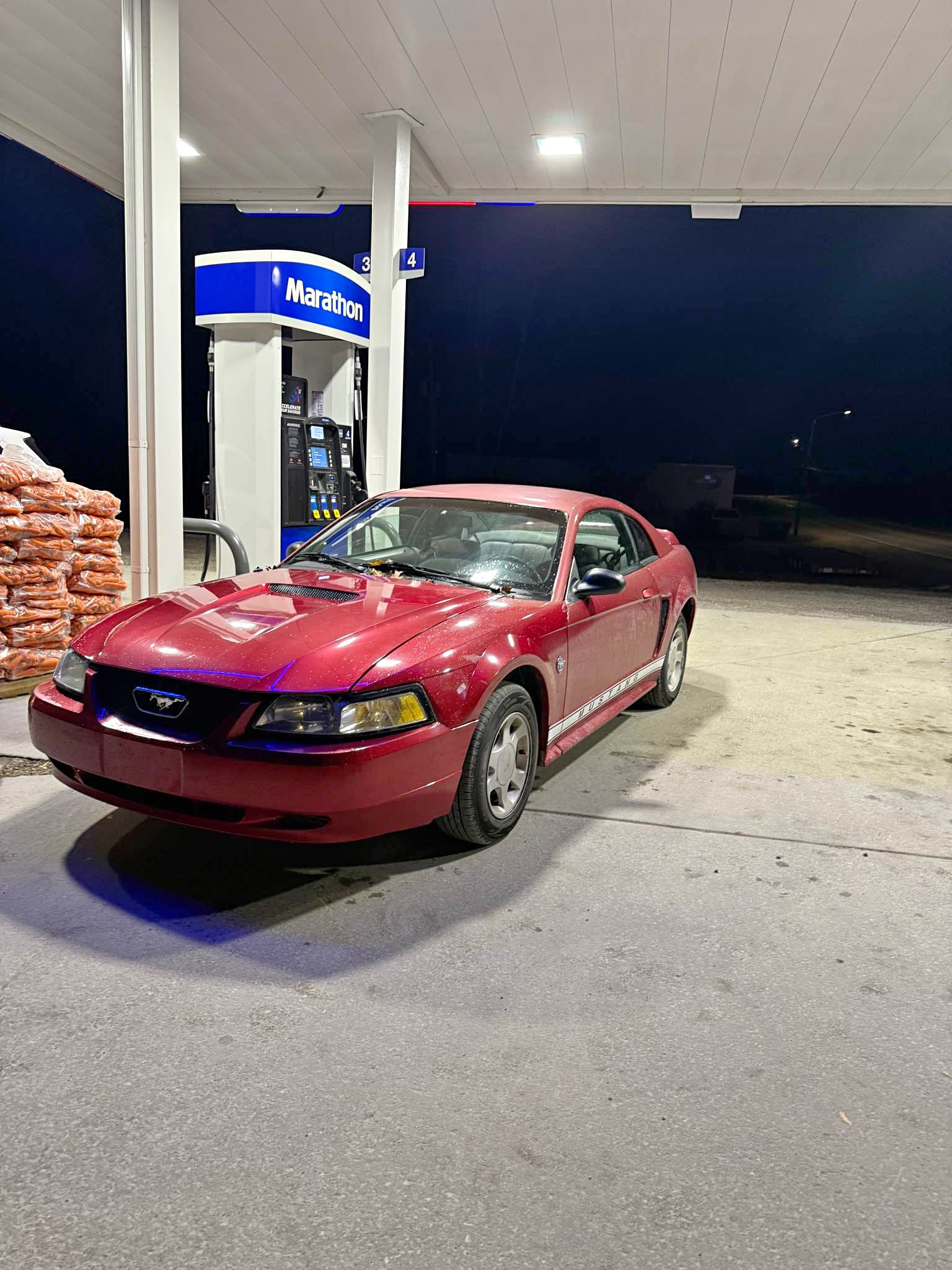 1999 Ford Mustang - Coupe 2D