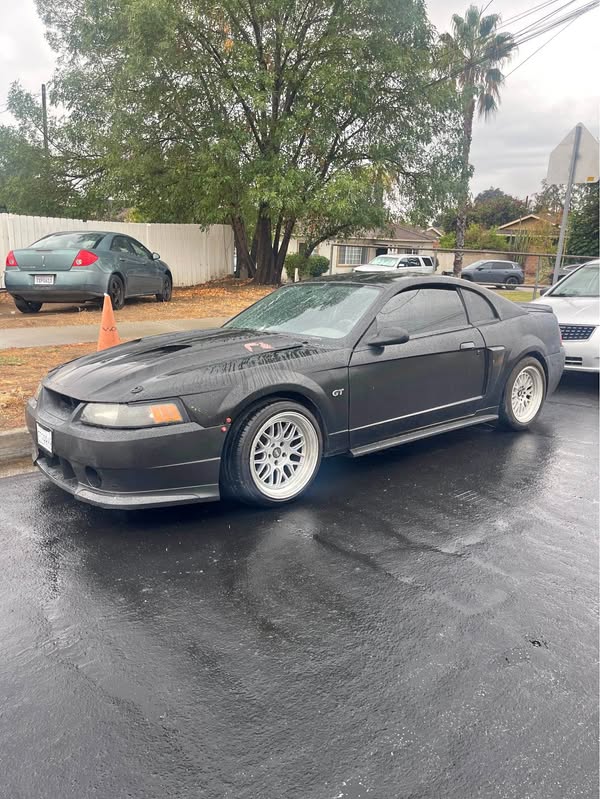 2000 Ford Mustang - GT