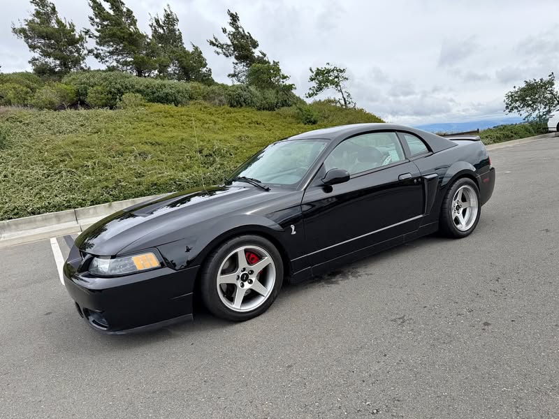 2003 Ford Mustang - Cobra SVT Coupe 2D