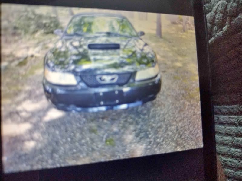 2001 Ford Mustang - GT Deluxe Convertible 2D