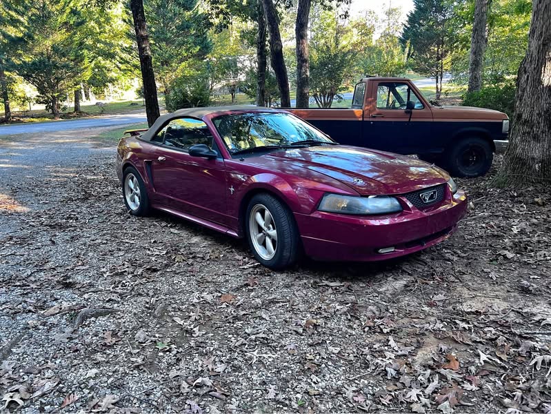 2004 Ford Mustang - V6 Convertible 2D