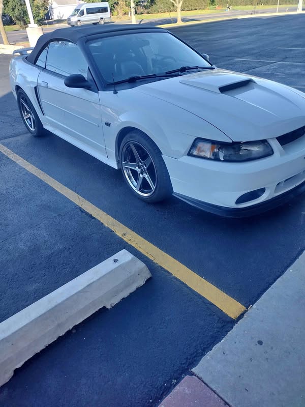 2000 Ford Mustang - GT Premium Convertible 2D