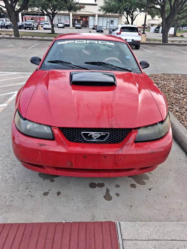 2003 Ford Mustang - V6 Coupe 2D