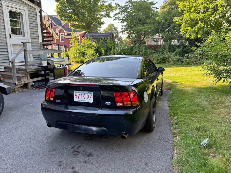 1999 Ford Mustang - Cobra SVT Coupe 2D