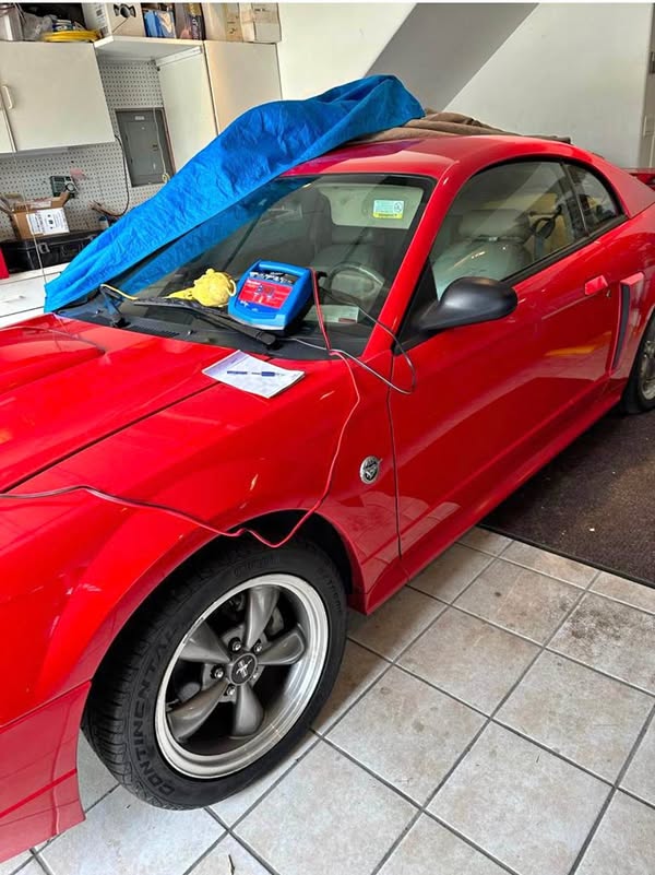 2004 Ford Mustang - GT Coupe 2D