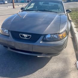 2004 Ford Mustang 40th Anniversary Edition