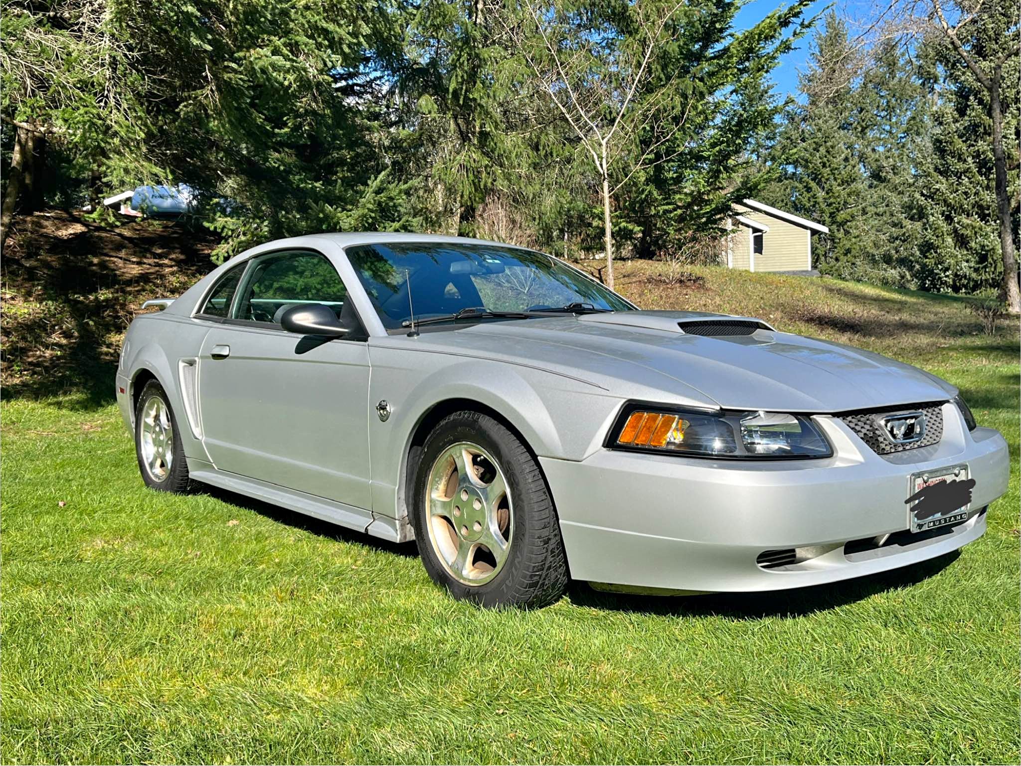2004 Ford Mustang - V6 Coupe 2D